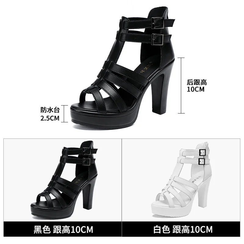 Zapato de gladiador para mujer - Women'S Shoes Quality reseña y precio